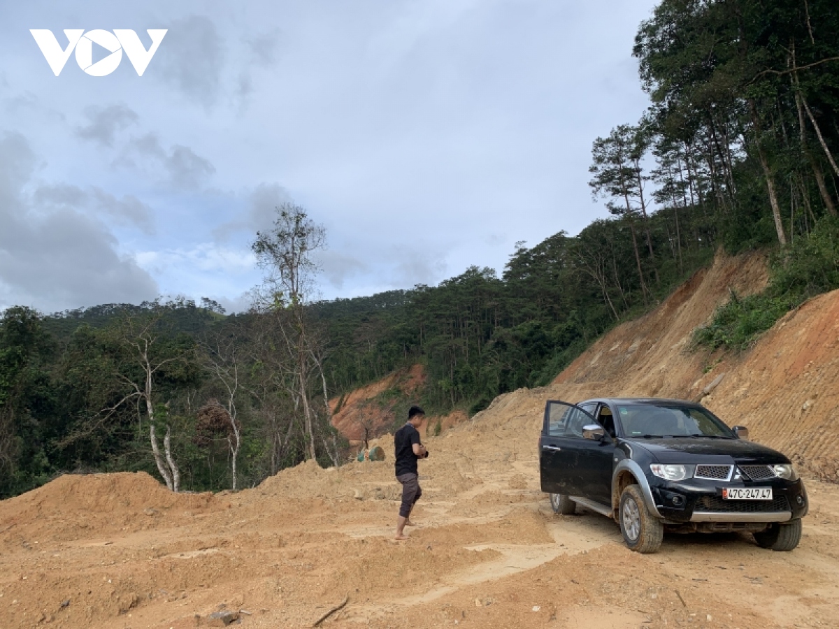 Vụ tự phá rừng làm đường: Đắk Lắk đề nghị đình chỉ thi công