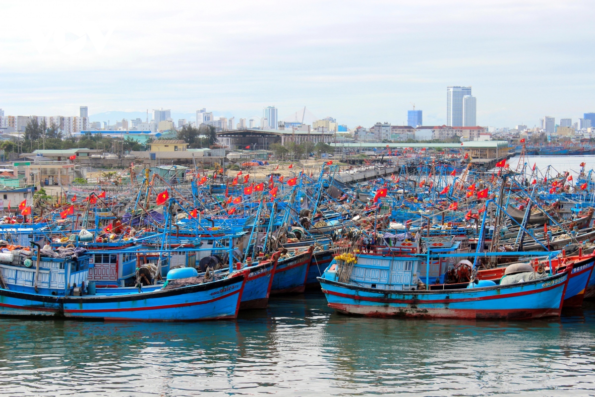 Cảng cá Thọ Quang, thành phố Đà Nẵng vắng vẻ ngày mùng 2 Tết