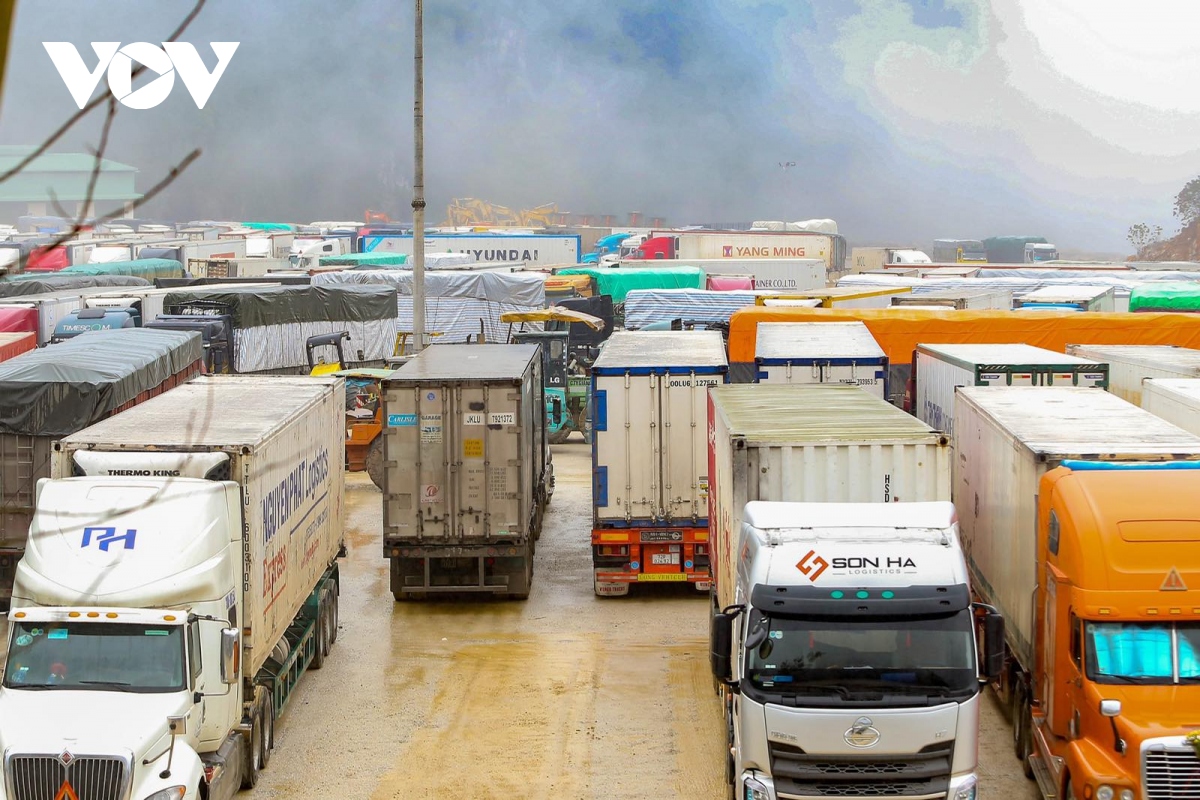 Lạng Sơn khẩn trương giải phóng hơn 2.200 xe hàng đang tồn đọng