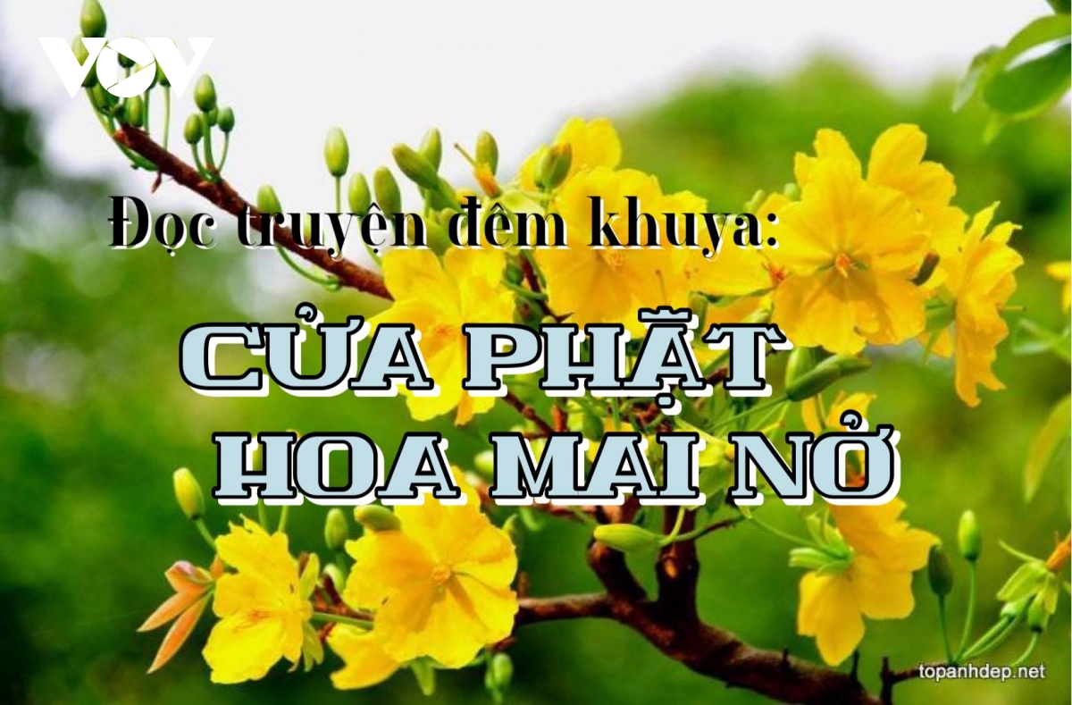 Truyện ngắn "Cửa Phật hoa mai nở" - Gieo nhân lành để nhận được quả lành