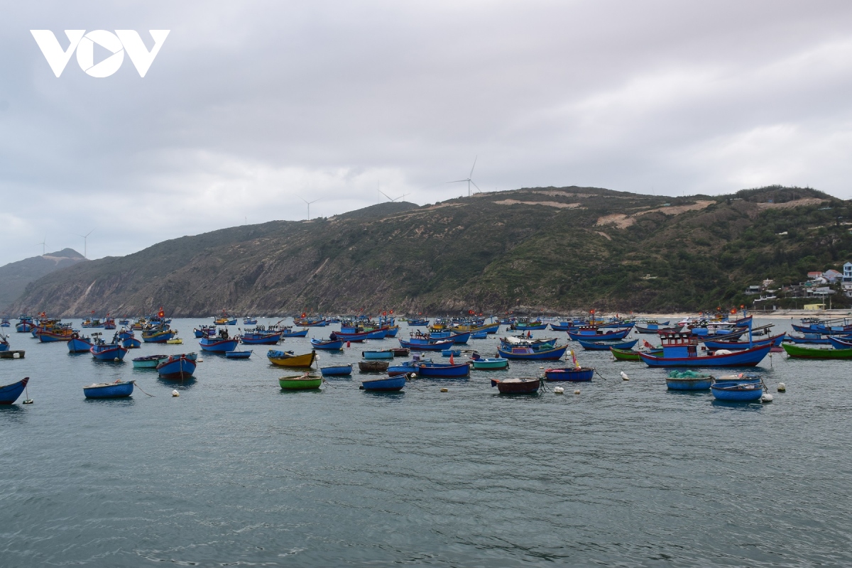 Giá nhiên liệu tăng, ngư dân Bình Định vượt khó vươn khơi bám biển