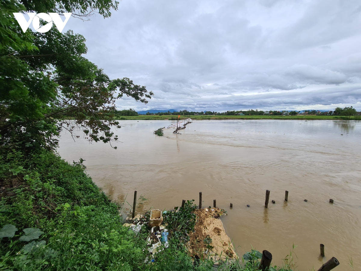 Mưa lớn gây vỡ đập tạm ngăn mặn trên sông Vĩnh Điện, Quảng Nam