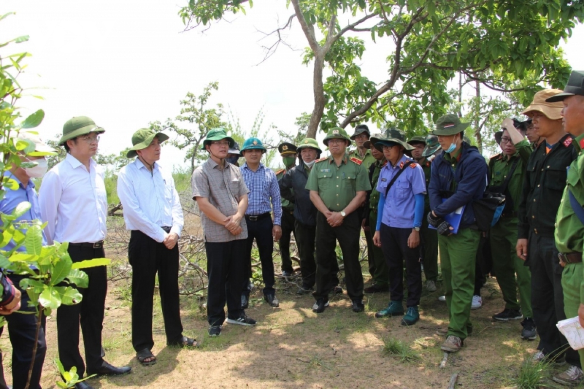 Bí thư Tỉnh uỷ Đắk Lắk kiểm tra, chỉ đạo công tác điều tra vụ phá gần 400 ha rừng