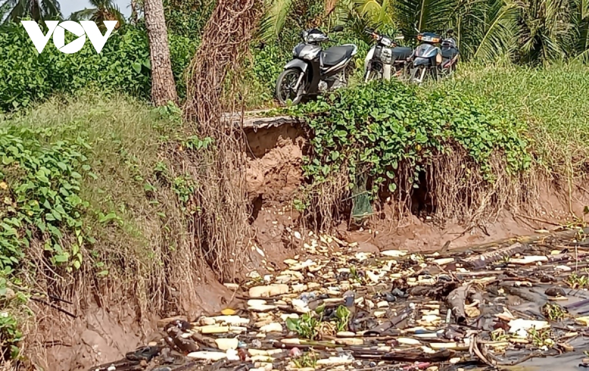 Khẩn trương khắc phục các điểm sạt lở bờ sông tại huyện Cù Lao Dung