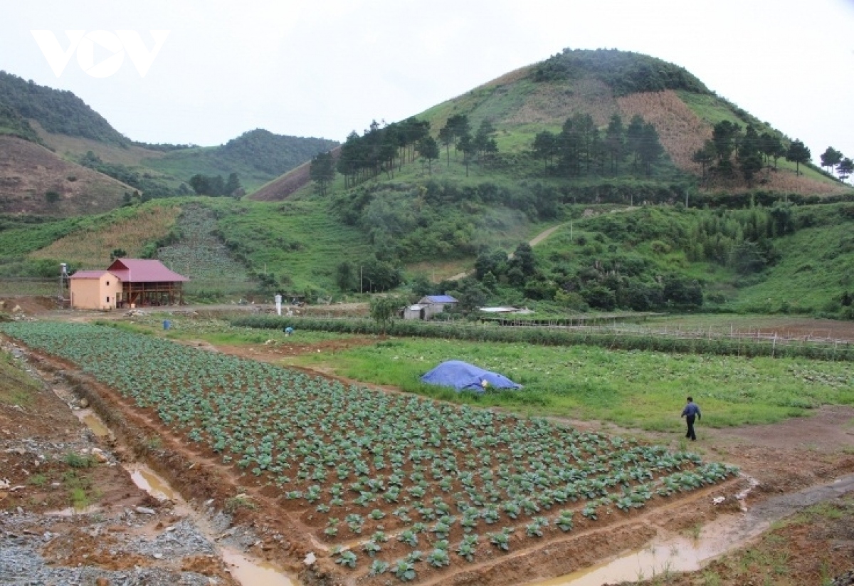 "Con đường nông sản Sơn La": Những điểm đến và trải nghiệm thú vị
