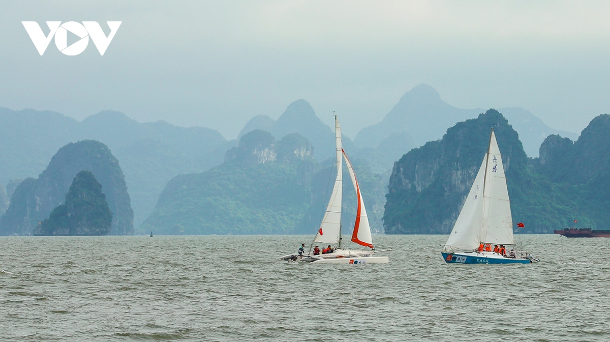 Diễu hành thuyền buồm trên vịnh Hạ Long hưởng ứng SEA Games 31
