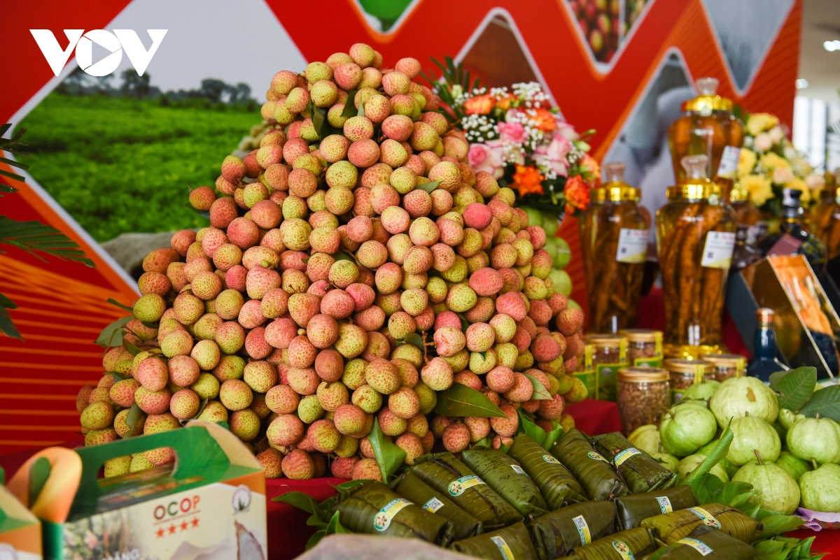 Bắc Giang sẵn sàng đáp ứng tiêu chuẩn đưa trái vải thiều vào thị trường khó tính