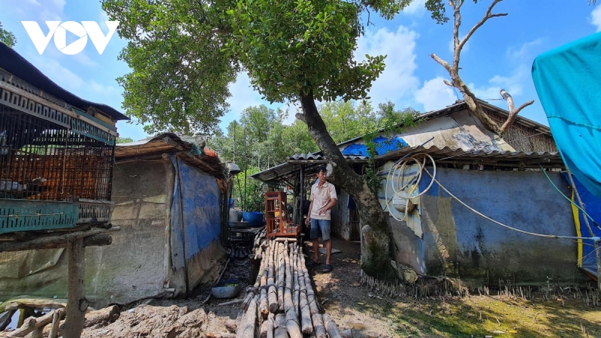 Người dân Cà Mau thấp thỏm sống trong đê phòng hộ xuống cấp trầm trọng