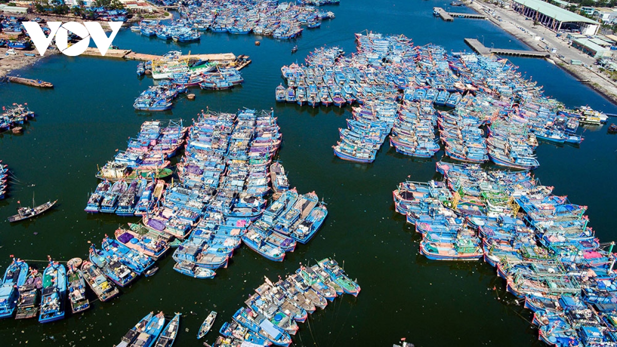 Năm 2050 có 184 cảng cá, 160 khu neo đậu tránh trú bão cho tàu cá