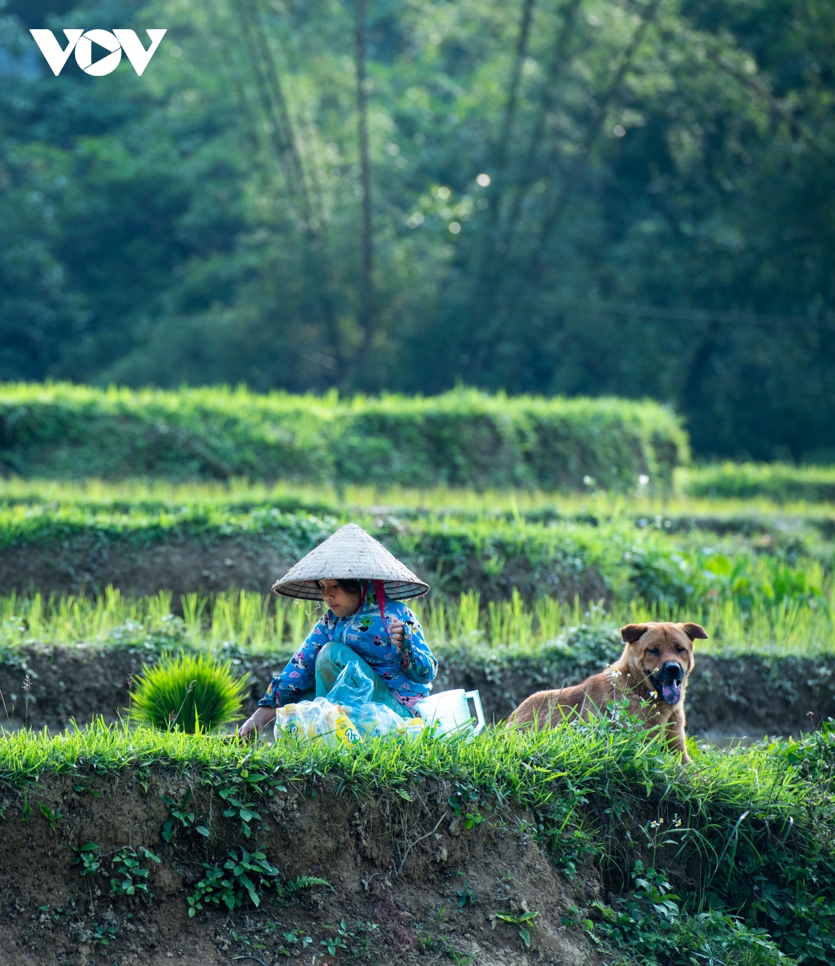 Ngày hè của những đứa bé vùng cao