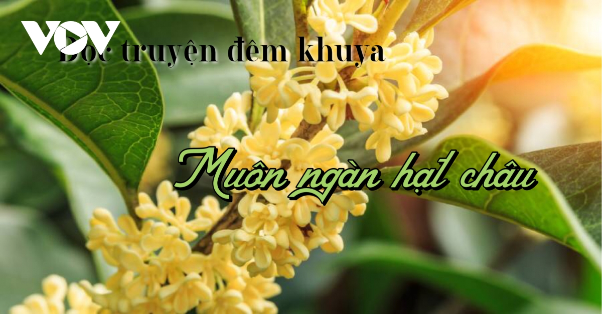 Truyện ngắn "Muôn ngàn hạt châu"