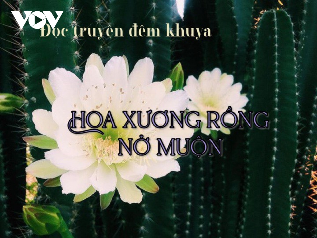 Truyện ngắn "Hoa xương rồng nở muộn" - Sóng gió cuộc đời