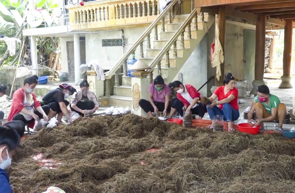 Hiệu quả từ việc đa dạng hình thức đào tạo nghề cho lao động nông thôn ở Điện Biên
