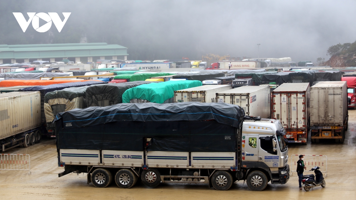 Lạng Sơn tích cực số hóa hoạt động xuất nhập khẩu
