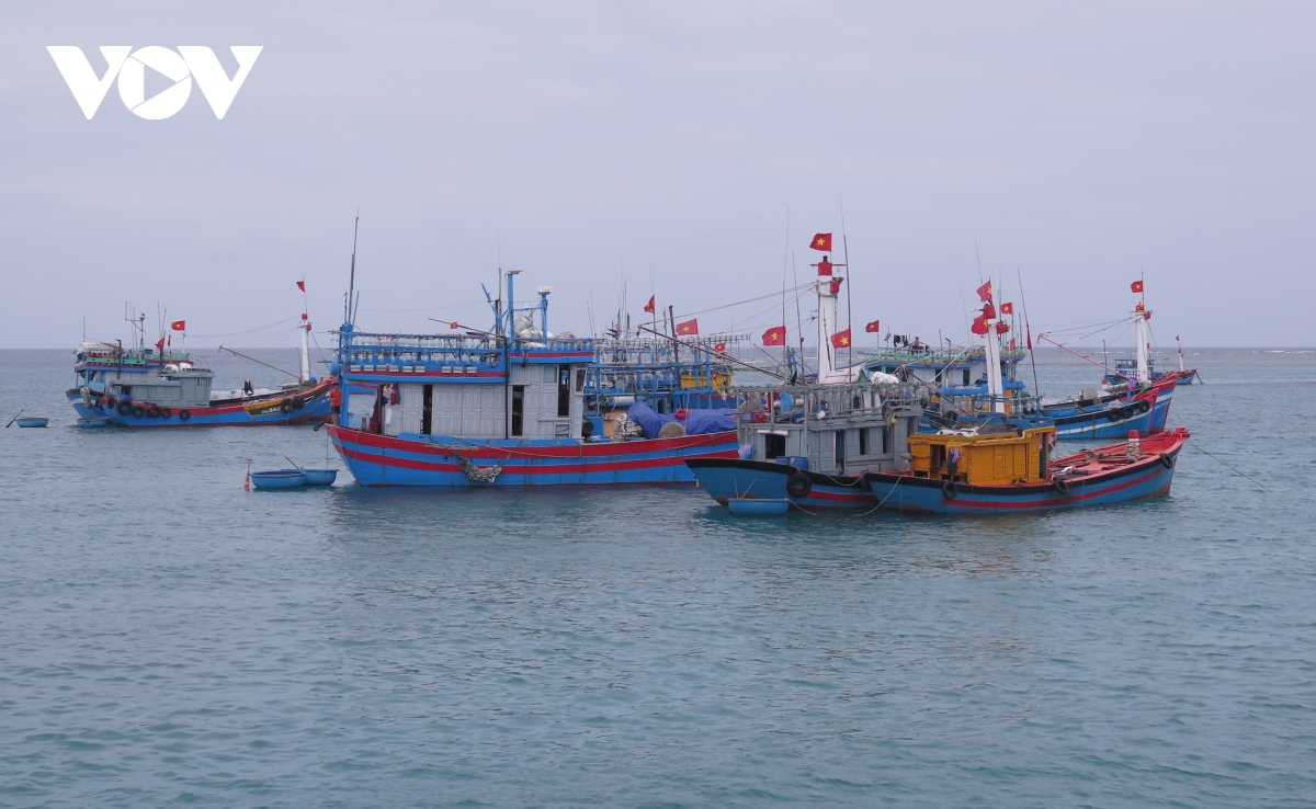Quảng Ngãi kiên quyết xử lý tàu cá không lắp đặt thiết bị giám sát hành trình