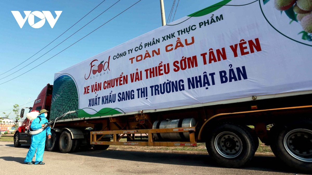 Chậm thay đổi tư duy, nông sản sẽ khó kiếm thị trường xuất khẩu