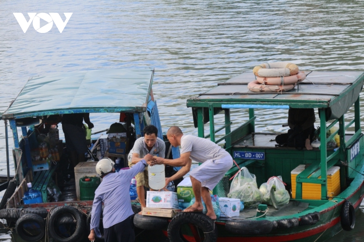 Xăng dầu hạ giá, ngư dân Quảng Ninh tiếp tục vươn khơi