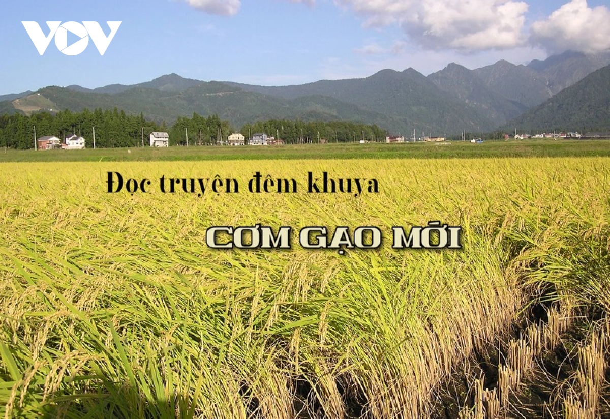 Truyện ngắn "Cơm gạo mới" - Đong đầy nỗi nhớ ruộng đồng