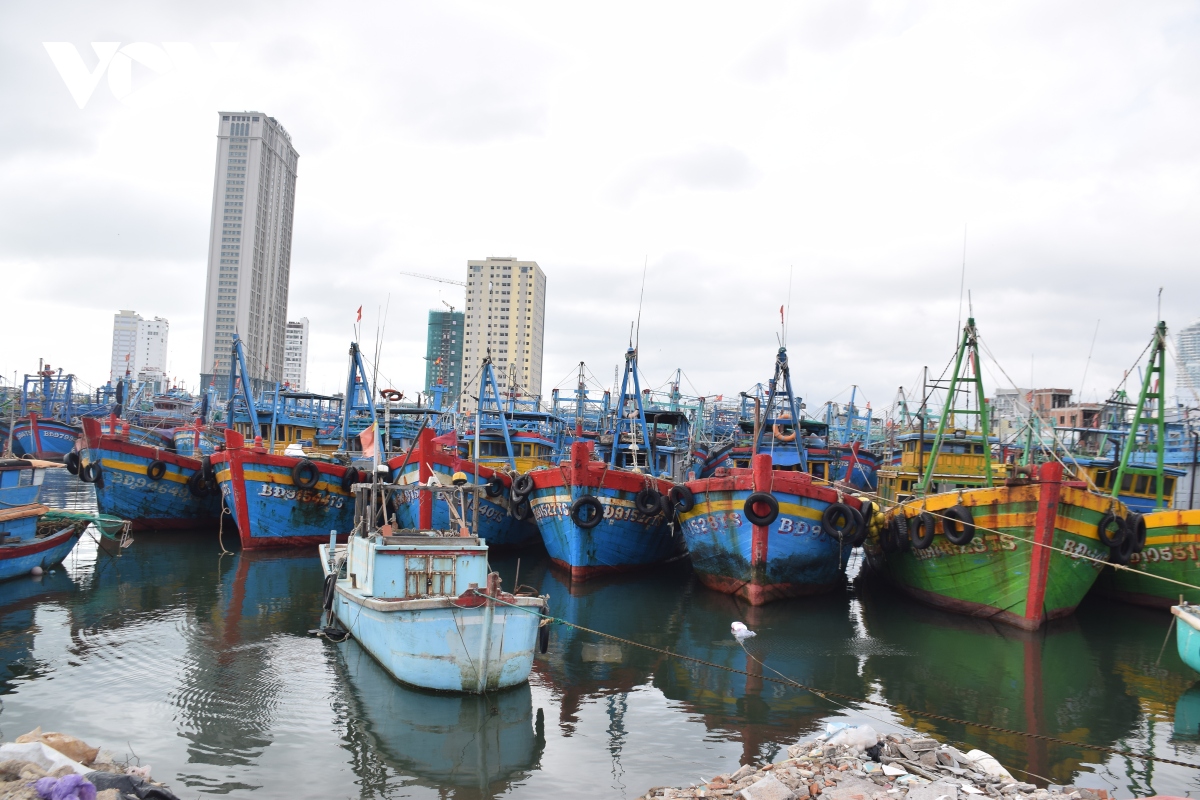Tàu cá của ngư dân Bình Định bị chìm trên biển, 4 ngư dân được cứu sống