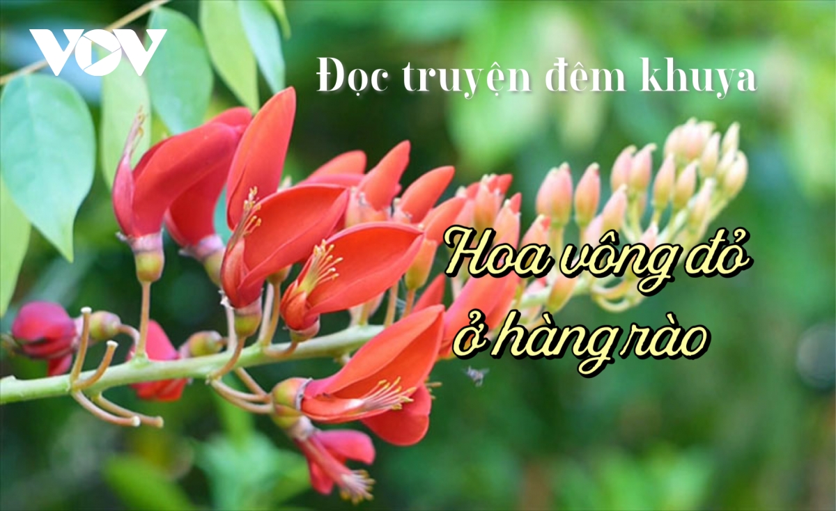 Truyện ngắn "Hoa vông đỏ ở hàng rào" - Tin vào mầm thiện