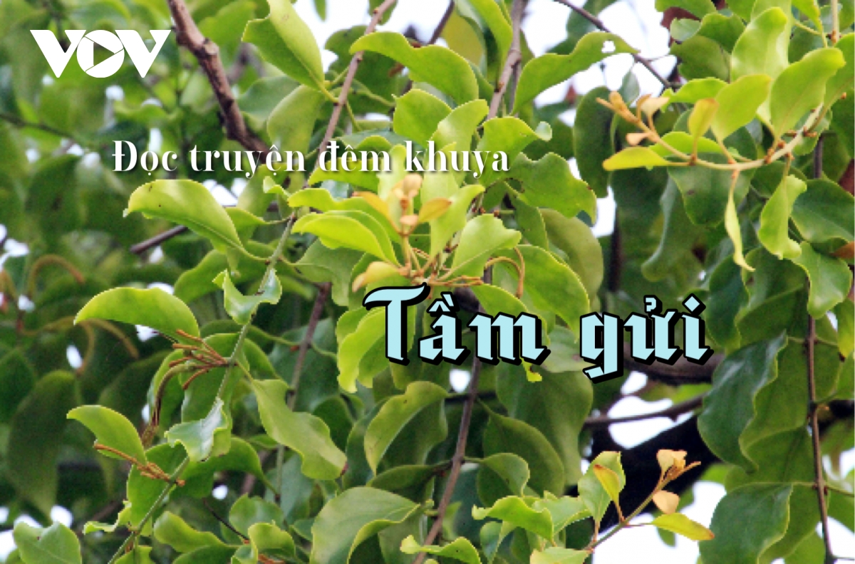 Truyện ngắn "Tầm gửi" - Sự tha hóa nhân cách