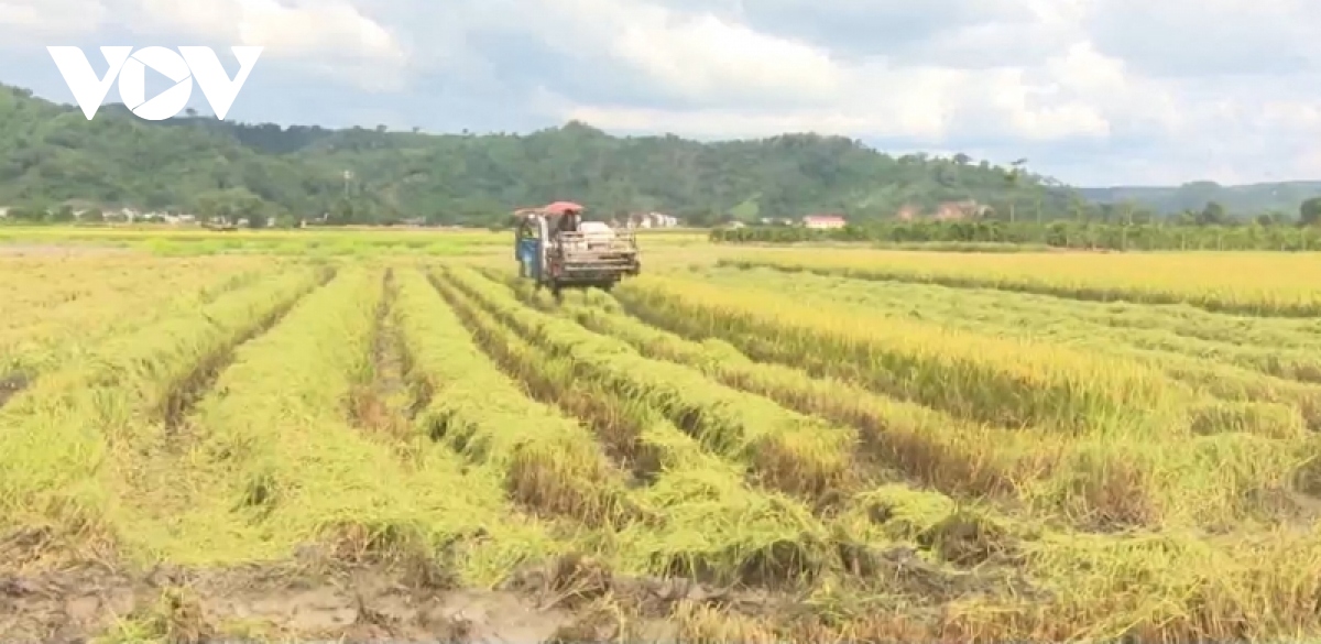 Tìm những lối đi riêng trong “bão giá”