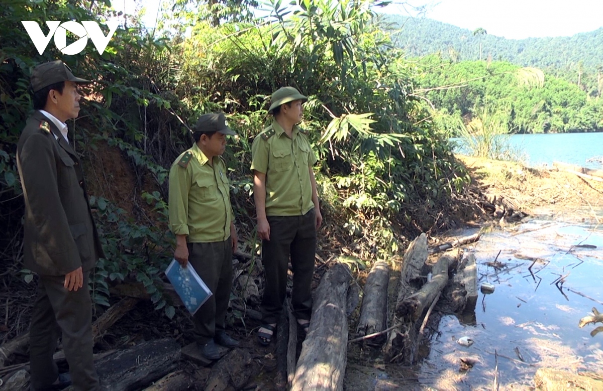 Quảng Nam sắp xếp bộ máy quản lý, bảo vệ rừng tinh gọn hiệu quả