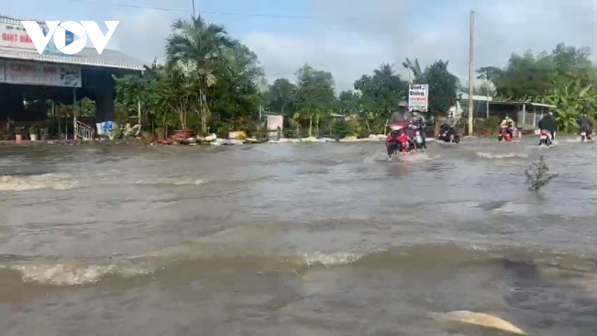 Hậu Giang tiếp tục chủ động ứng phó với tình hình ngập lụt