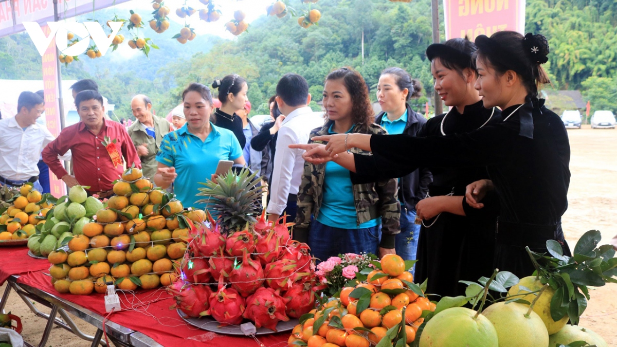 Rộn ràng ngày hội cam quýt Bắc Kạn 2022