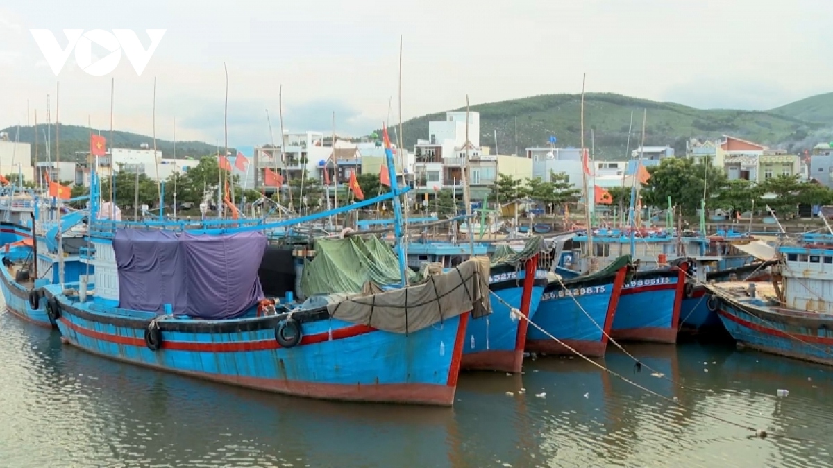 Quảng Ngãi giảm số lượng, nâng cao chất lượng tàu cá