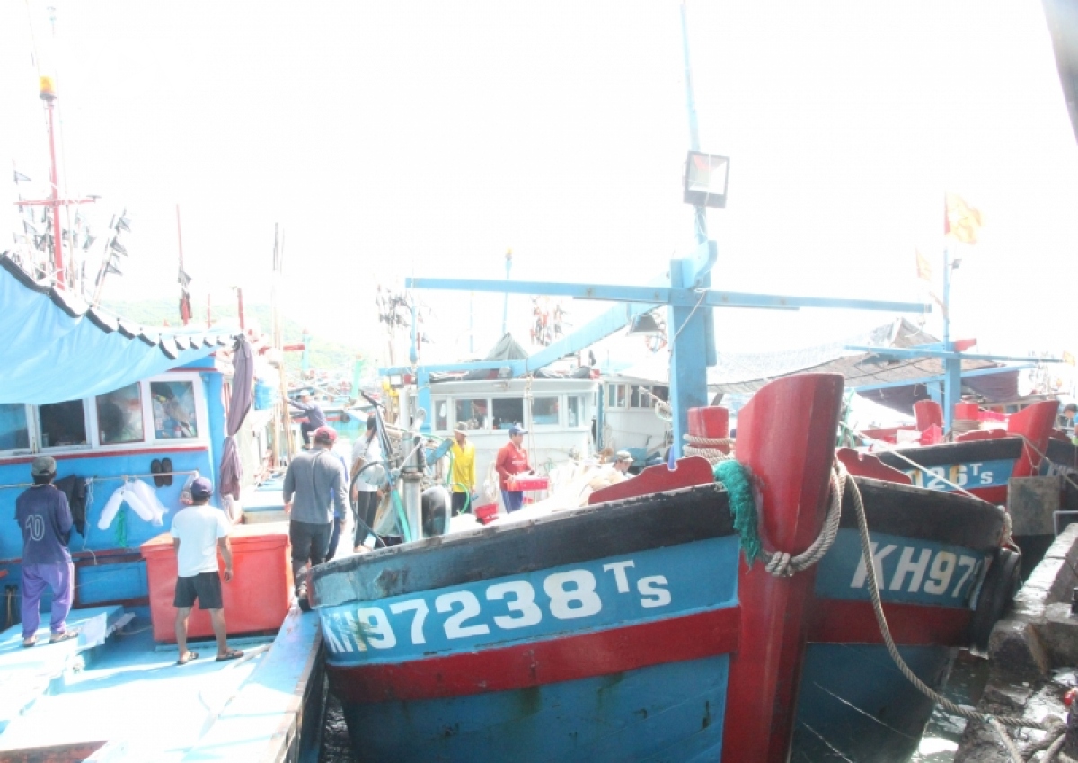  Khánh Hòa: Tàu cá ngư dân cập cảng phải khai báo nhật ký hành trình