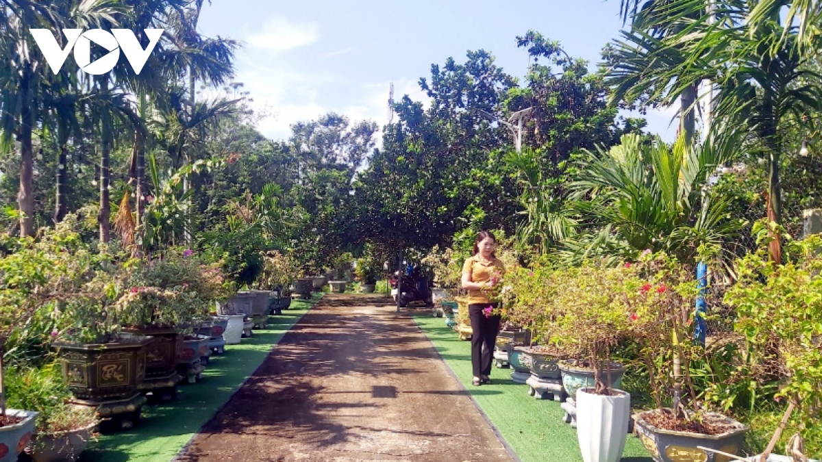 Mô hình vườn mẫu ở Quảng Nam đang mang lại hiệu quả kinh tế cao
