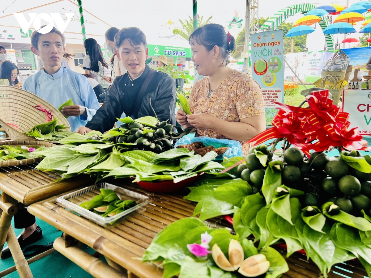 Ngày hội Lá – Nơi người trẻ tìm về không gian văn hóa xưa đầy thú vị