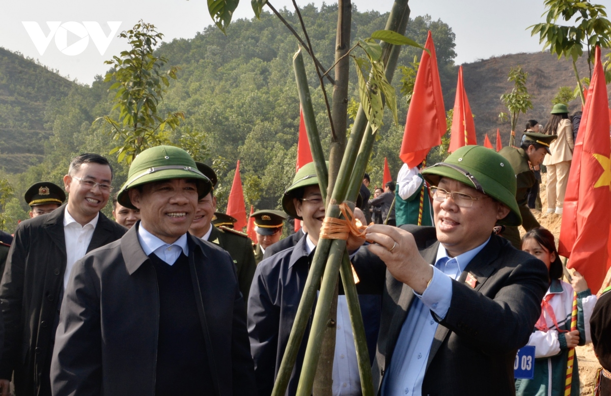 Chủ tịch Quốc hội: Người trồng rừng phải sống được từ rừng và giàu lên từ rừng