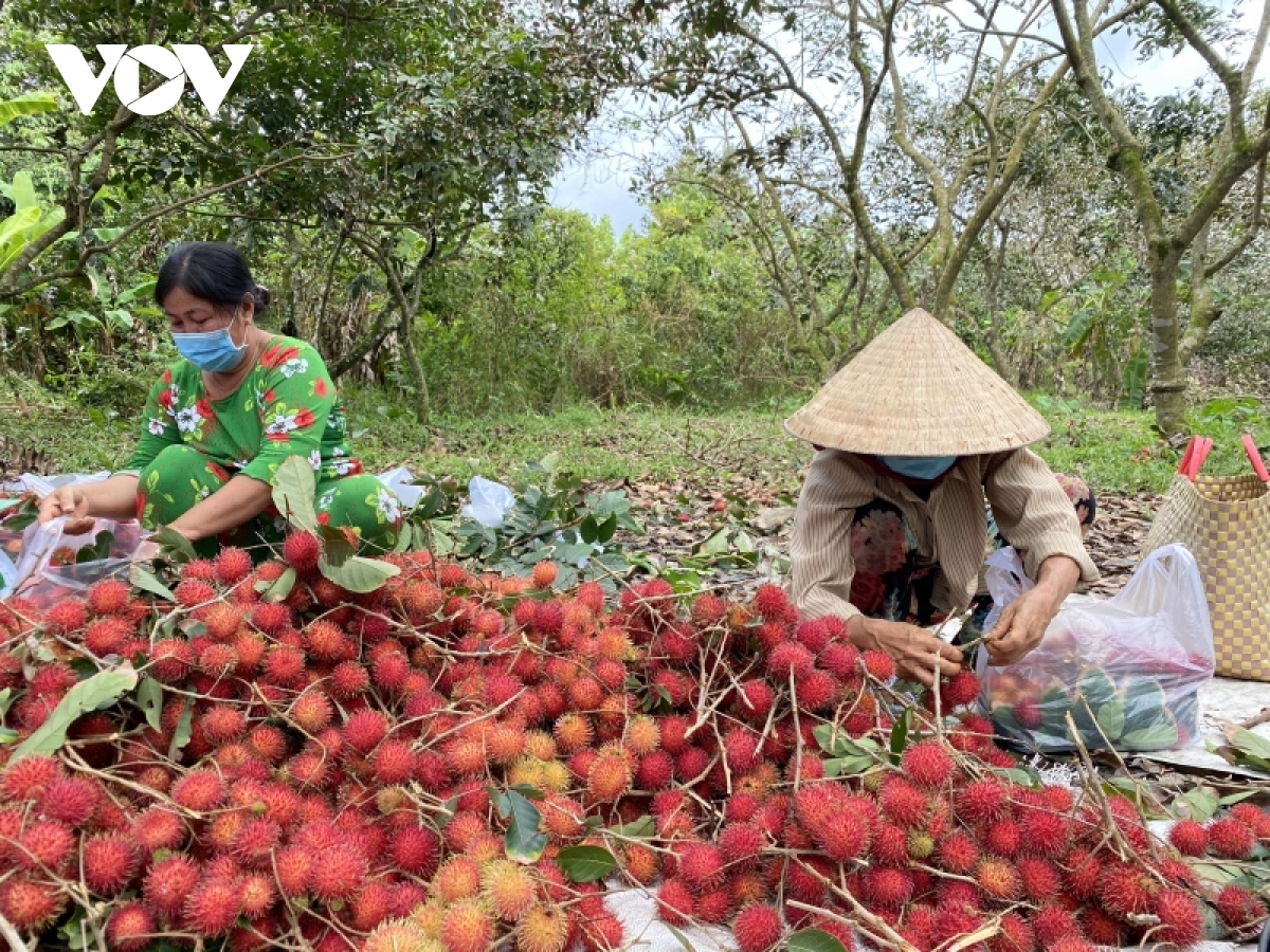 Bến Tre đẩy mạnh xuất khẩu nông sản trong năm 2023