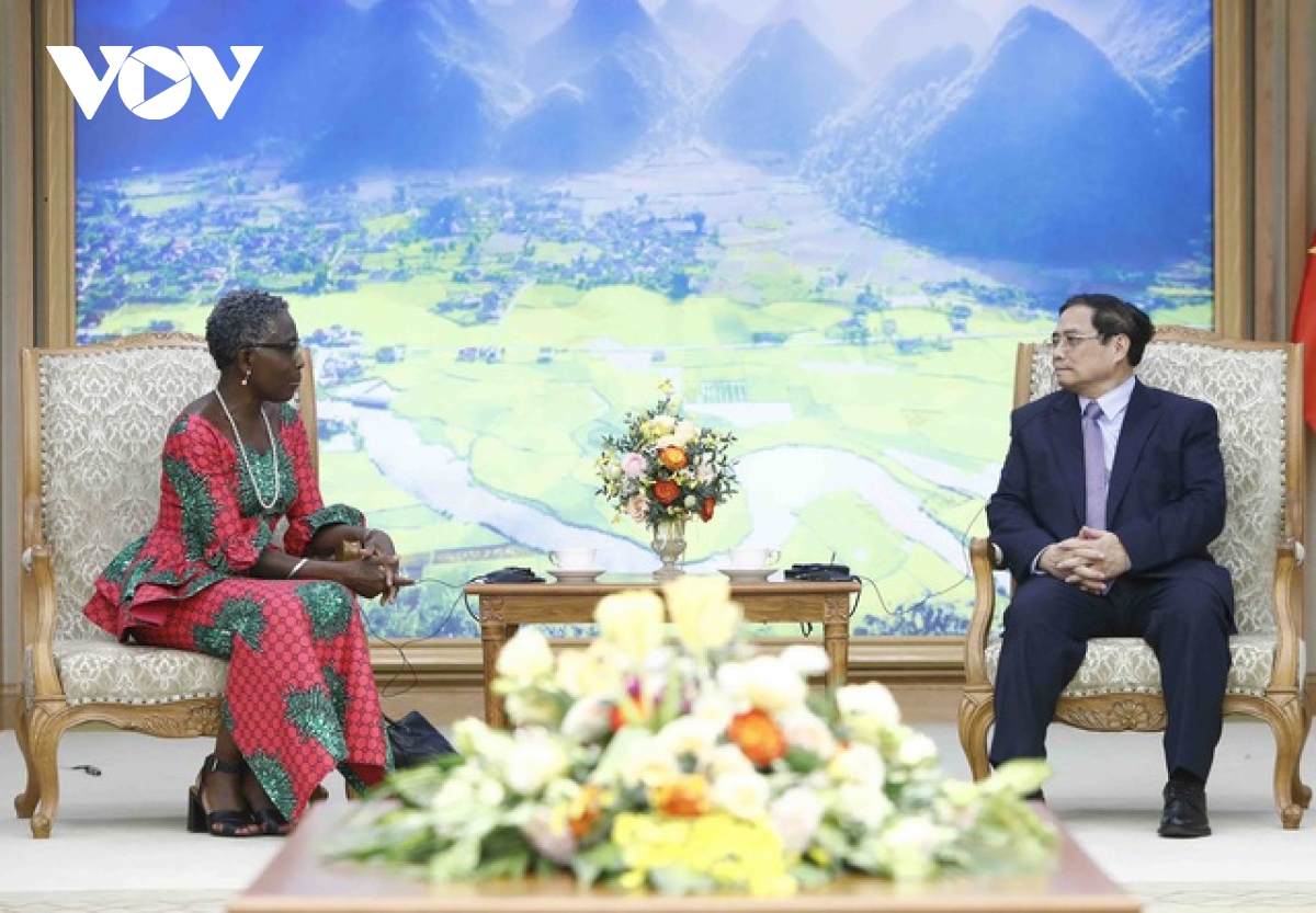 Thủ tướng Phạm Minh Chính tiếp Phó Tổng Giám đốc Quỹ Tiền tệ Quốc tế (IMF)
