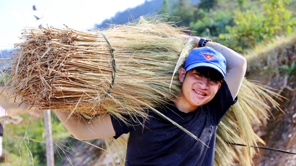 Lên rừng hái “lộc trời”, người dân miền núi Quảng Nam có thêm thu nhập