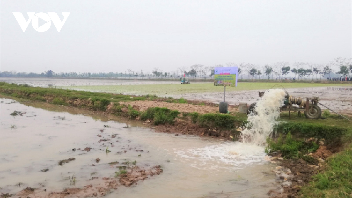 Hà Nội: linh hoạt đổ ải trong điều kiện khó khăn về nguồn nước