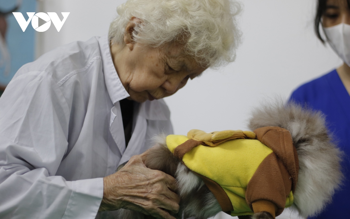 Cận cảnh phòng khám thú y miễn phí của bà giáo 90 tuổi ở Hà Nội