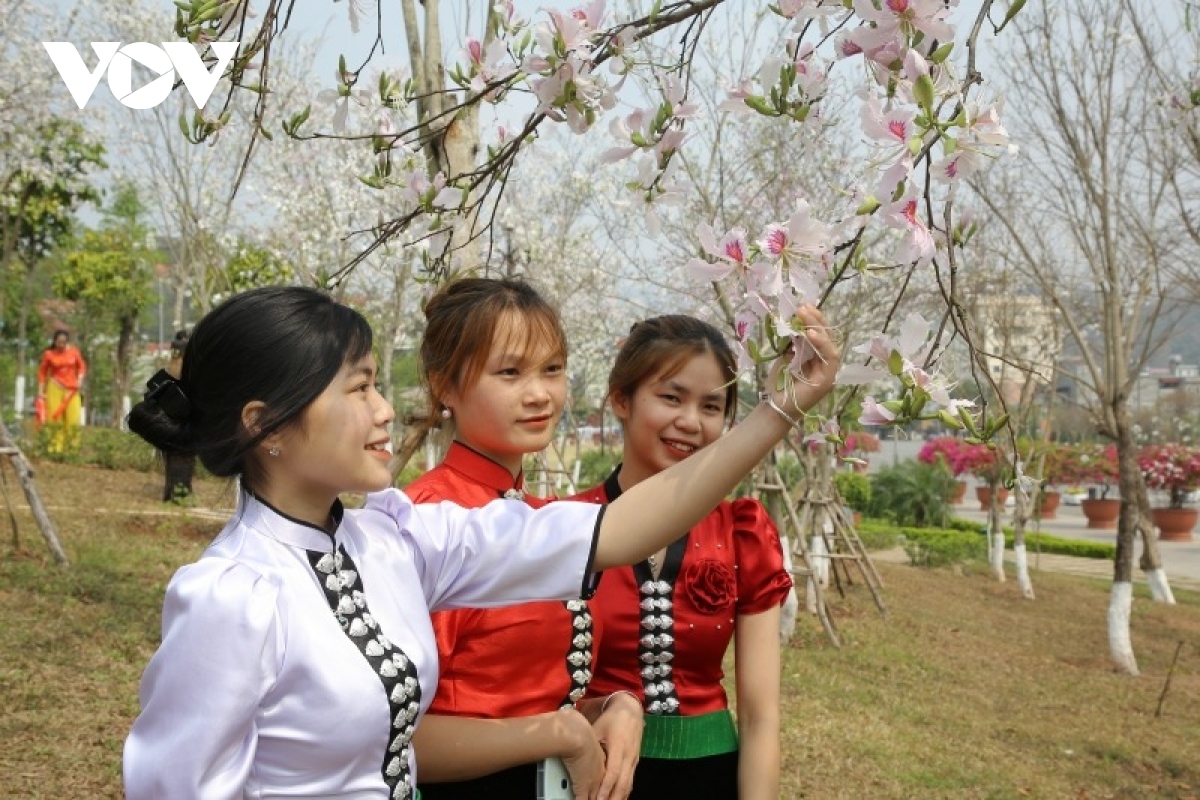 Lễ hội mùa hoa ban thành phố Sơn La năm 2023