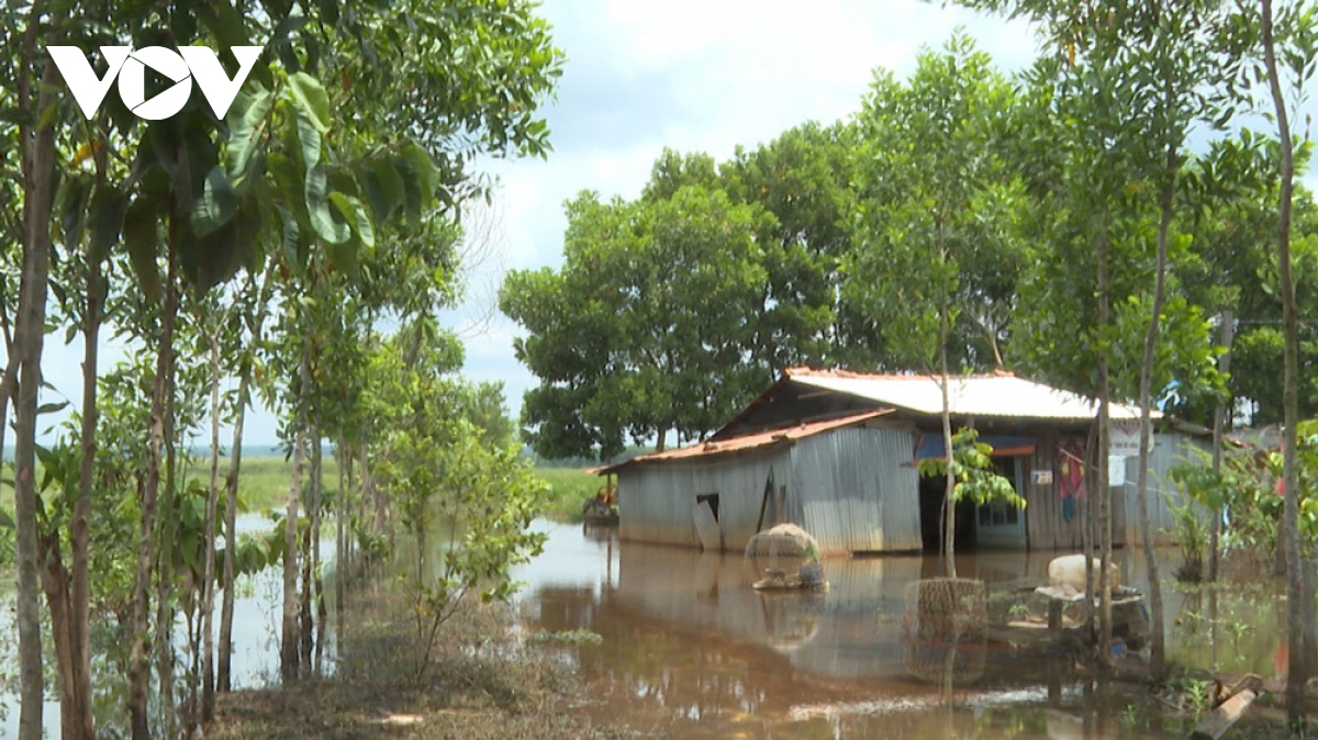 Doanh nghiệp "cầu cứu" vì bị lấn chiếm đất, lãnh đạo tỉnh Bình Phước chỉ đạo nóng