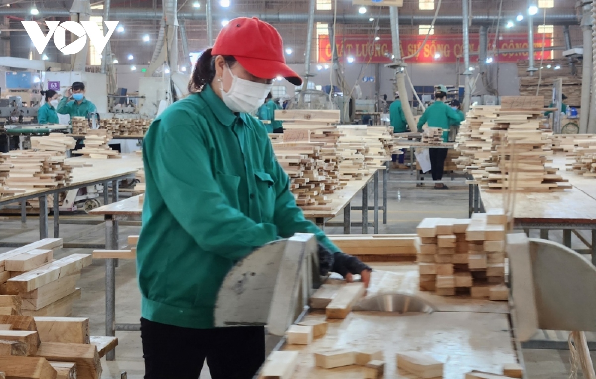 Nhiều doanh nghiệp gỗ Bình Định sắp phải đóng cửa vì thiếu đơn hàng