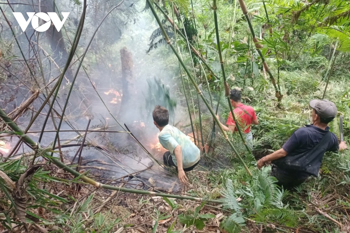 Đám cháy rừng ở Lai Châu được dập tắt sau 2 giờ
