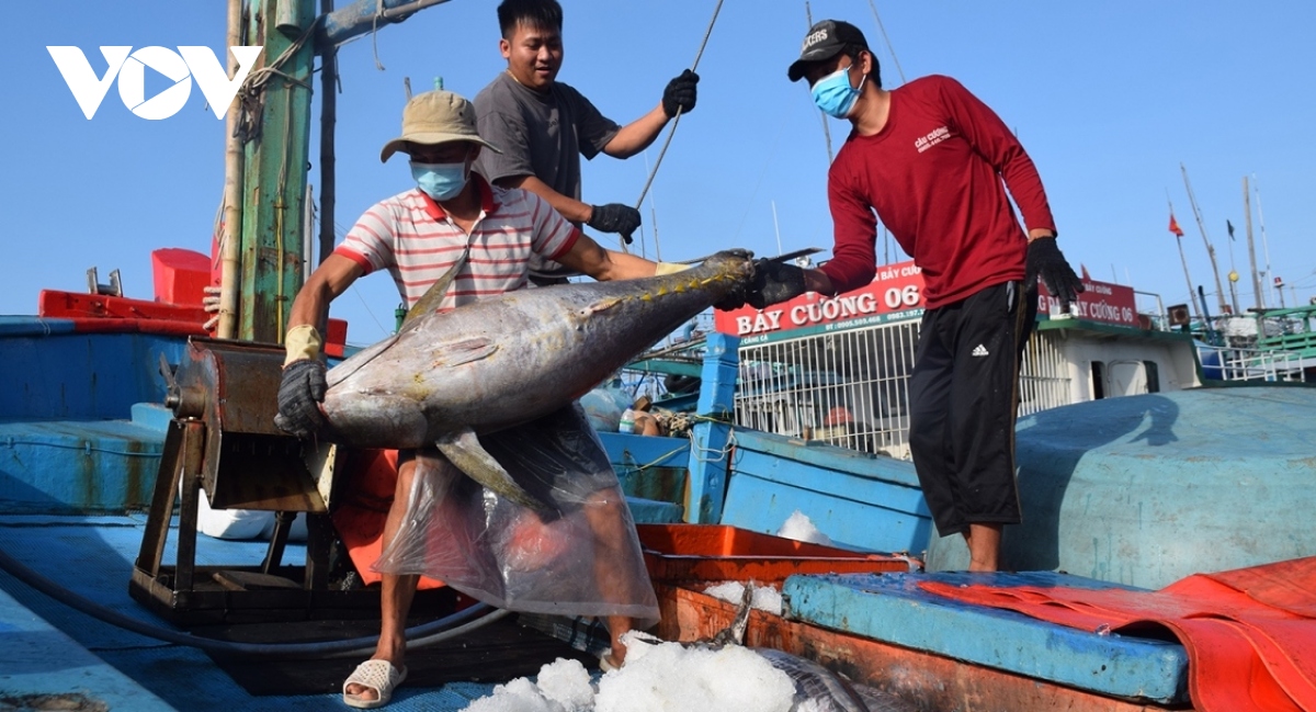 Nhật Bản là khách hàng nhập khẩu thủy sản lớn nhất của Việt Nam