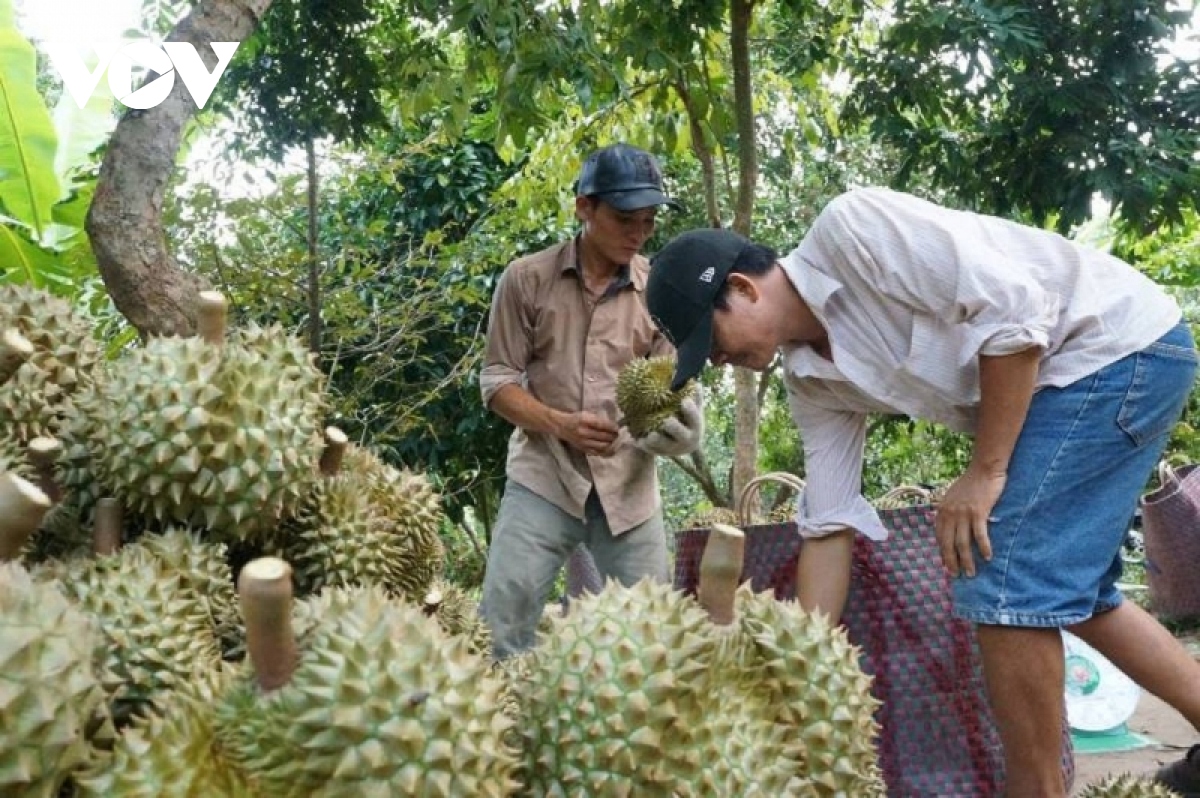 Xây dựng thương hiệu nông sản là vấn đề cấp bách