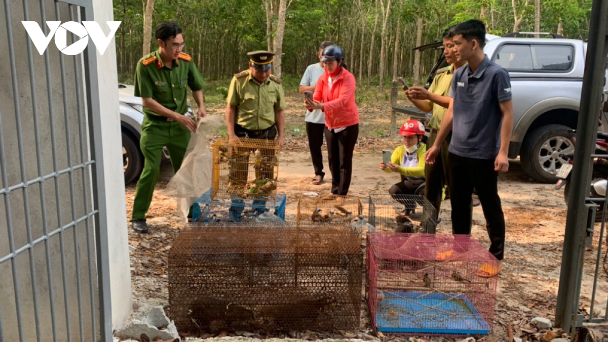 Hàng trăm cá thể động vật quý hiếm được thả về rừng ở Bình Dương