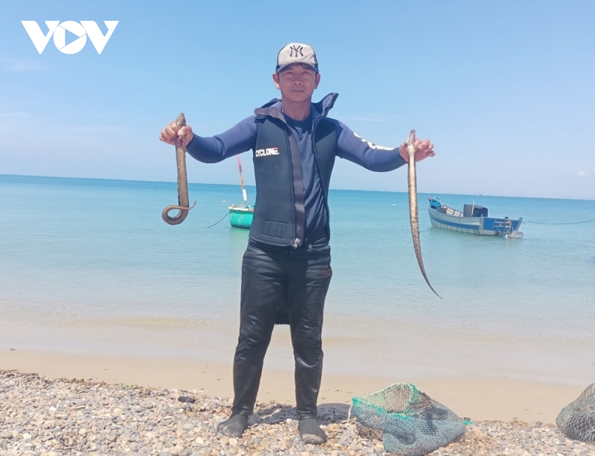 Ngư dân vùng biển La Gàn ở Bình Thuận kiếm bạc triệu mỗi ngày nhờ mùa gió Nam