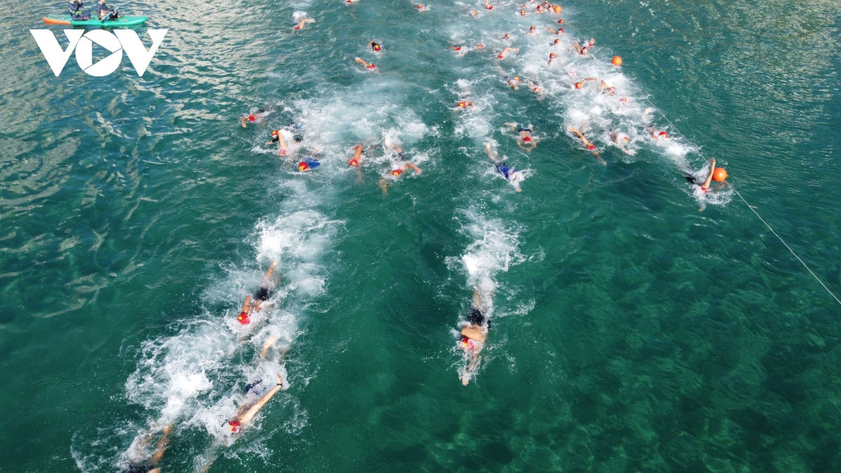 Khánh Hòa: Hàng trăm VĐV tham gia Hội thi bơi biển, lắc thúng