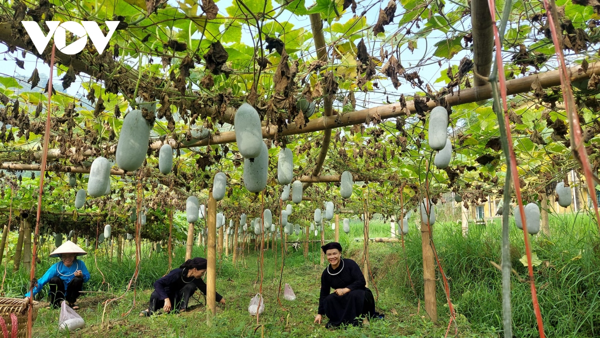 Tuần Văn hóa du lịch Bắc Kạn mang đến nhiều trải nghiệm mới