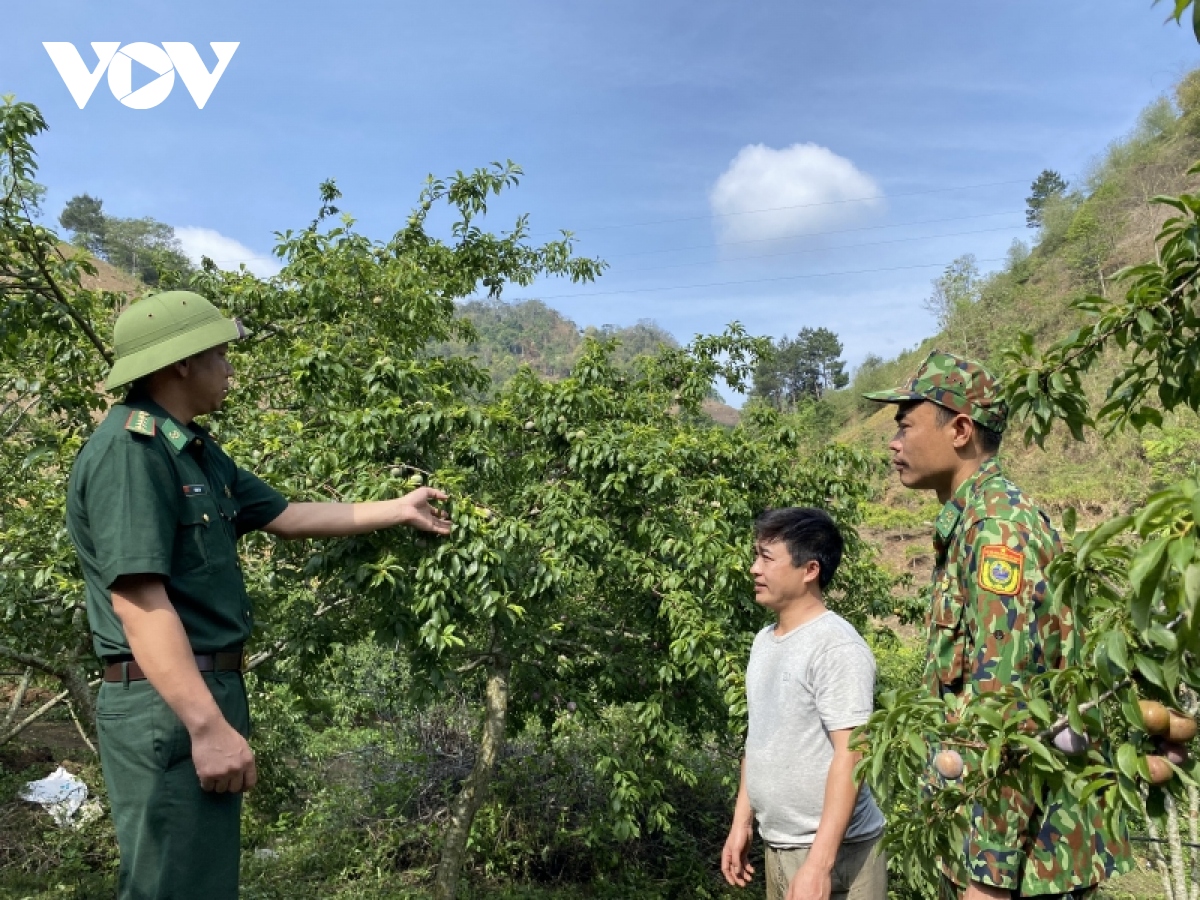 "Bộ đội Cụ Hồ” giúp người dân vùng biên giới Sơn La thoát nghèo